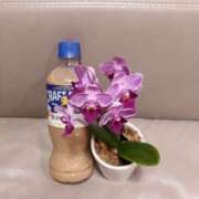 ヒメ日記 2025/08/07 23:25 投稿 美羽(みう) 可憐な妻たち 太田店