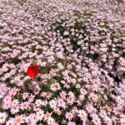 ヒメ日記 2025/09/13 17:17 投稿 美羽(みう) 可憐な妻たち 太田店