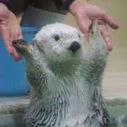 ヒメ日記 2025/09/14 18:22 投稿 美羽(みう) 可憐な妻たち 太田店