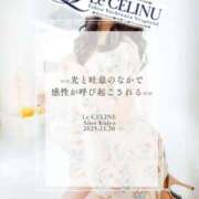 ★九条愛乃 🫧光と吐息のなかで、感性が呼び起こされる🫧 Le CELINU（ル・セリーヌ）