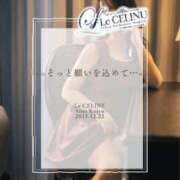 ヒメ日記 2025/12/22 12:00 投稿 ★九条愛乃 Le CELINU（ル・セリーヌ）