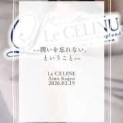 ヒメ日記 2026/02/19 20:30 投稿 ★九条愛乃 Le CELINU（ル・セリーヌ）
