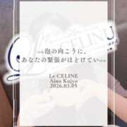 ヒメ日記 2026/03/05 12:30 投稿 ★九条愛乃 Le CELINU（ル・セリーヌ）