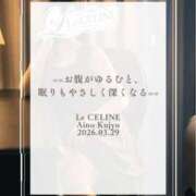 ヒメ日記 2026/03/29 08:30 投稿 ★九条愛乃 Le CELINU（ル・セリーヌ）