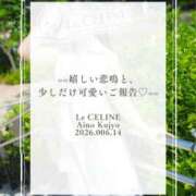 ヒメ日記 2026/06/14 08:30 投稿 ★九条愛乃 Le CELINU（ル・セリーヌ）