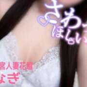 ヒメ日記 2025/08/07 10:00 投稿 なぎ モアグループ宇都宮人妻花壇