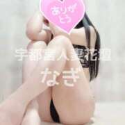 ヒメ日記 2026/04/16 11:53 投稿 なぎ モアグループ宇都宮人妻花壇