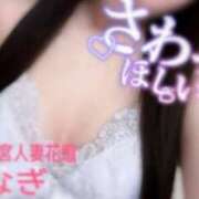 ヒメ日記 2026/04/30 09:07 投稿 なぎ モアグループ宇都宮人妻花壇