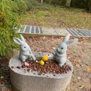 ヒメ日記 2025/11/20 22:33 投稿 羽生(はにゅう) 八王子人妻城