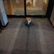 ヒメ日記 2026/01/23 01:19 投稿 ユズユ 【福岡デリヘル】20代・30代★博多で評判のお店はココです！