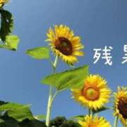ヒメ日記 2026/08/20 11:33 投稿 はるな 完熟ばなな西川口
