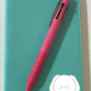 ヒメ日記 2025/09/09 23:01 投稿 みほ あかね治療院