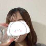 ヒメ日記 2025/11/03 19:21 投稿 みほ あかね治療院