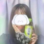 ヒメ日記 2025/11/12 16:41 投稿 みほ あかね治療院