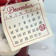 ヒメ日記 2025/12/03 23:21 投稿 みほ あかね治療院