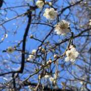 ヒメ日記 2026/02/06 20:21 投稿 みほ あかね治療院