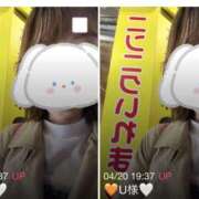 みほ しつこい？！みほ日記🐨💗 あかね治療院