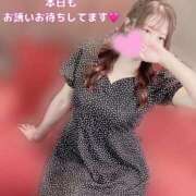 ひなの40分9200円 出勤🥺 回春性感メンズエステ猫の手 尾張一宮