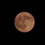 ゆうな奥様 ごぶさたしてます！ 人妻倶楽部　日本橋店