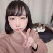 ヒメ日記 2026/01/29 17:56 投稿 ういか Seirenes (セイレネス)