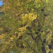 ヒメ日記 2025/12/01 06:10 投稿 エリカ 厚木オイルリンパ性感　厚木メンズエステm