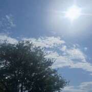 しおり 本日☀️ ミルキーラテ
