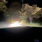 ヒメ日記 2025/10/28 00:45 投稿 るな ビデオDEはんど 名古屋校