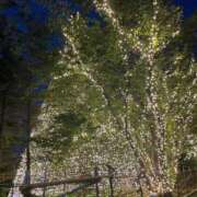 ヒメ日記 2025/11/06 00:43 投稿 るな ビデオDEはんど 名古屋校