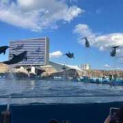 るな 出勤〜！ ビデオDEはんど 名古屋校