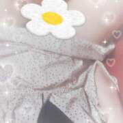 ヒメ日記 2025/09/16 15:51 投稿 ゆな 無我（むが）