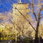 ヒメ日記 2026/04/15 14:53 投稿 しの 熟女総本店 堺東店