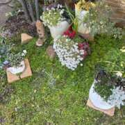 ヒメ日記 2025/08/10 18:37 投稿 さくらこ 待ちナビ