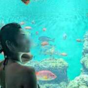 ヒメ日記 2025/08/16 10:40 投稿 つばさ ごほうびSPA池袋店