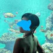 ヒメ日記 2025/08/16 13:30 投稿 つばさ ごほうびSPA池袋店