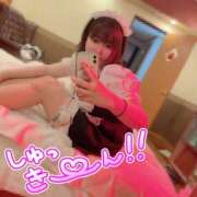 ヒメ日記 2025/09/04 10:43 投稿 ニイナ バニーコレクション新潟店