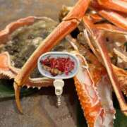 ヒメ日記 2025/12/24 23:54 投稿 ニイナ バニーコレクション新潟店