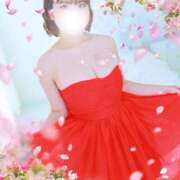 ヒメ日記 2026/04/08 10:18 投稿 ニイナ バニーコレクション新潟店