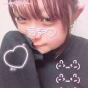 ヒメ日記 2026/01/29 23:34 投稿 ゆりか 奥様特急　立川店