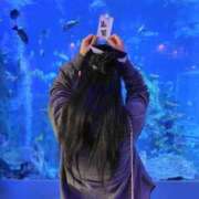 ヒメ日記 2025/08/31 19:40 投稿 ある バカンス学園　谷九校