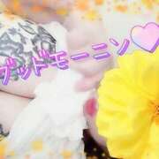 ヒメ日記 2025/08/10 08:39 投稿 かおる 完熟ばなな札幌・すすきの