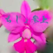 ヒメ日記 2025/08/11 08:59 投稿 かおる 完熟ばなな札幌・すすきの