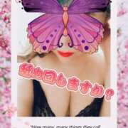 ヒメ日記 2025/08/20 07:59 投稿 かおる 完熟ばなな札幌・すすきの