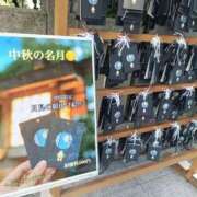 ヒメ日記 2025/09/24 13:59 投稿 かおる 完熟ばなな札幌・すすきの