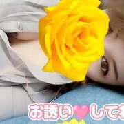 ヒメ日記 2025/09/26 11:39 投稿 かおる 完熟ばなな札幌・すすきの