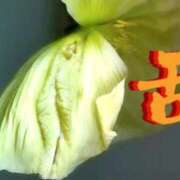 ヒメ日記 2025/09/26 16:29 投稿 かおる 完熟ばなな札幌・すすきの