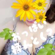 ヒメ日記 2025/10/11 07:49 投稿 かおる 完熟ばなな札幌・すすきの