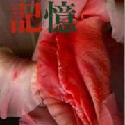 ヒメ日記 2025/10/24 14:49 投稿 かおる 完熟ばなな札幌・すすきの