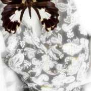 ヒメ日記 2025/11/12 12:49 投稿 かおる 完熟ばなな札幌・すすきの