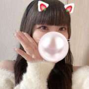 ヒメ日記 2026/04/11 16:36 投稿 もね エピセレクション