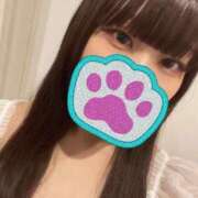 もね しゅっきん！ エピセレクション